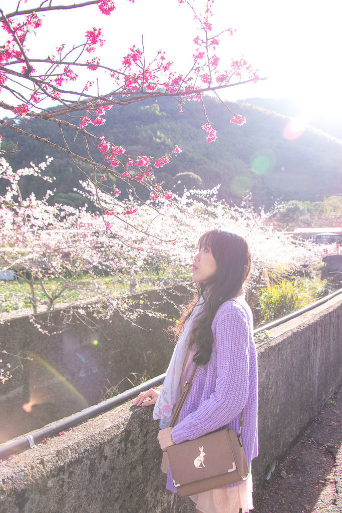 _MG_4135.jpg _MG_4135.jpg