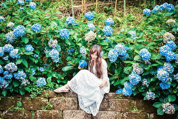 DSC_6557-4.jpg DSC_6557-4.jpg