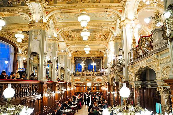 _DSC0244.jpg _DSC0244.jpg