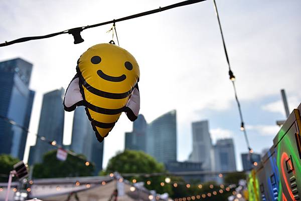 DSC_4809.JPG DSC_4809.JPG