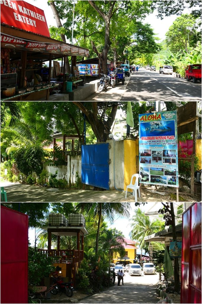 17oslob-5.jpg 17oslob-5.jpg