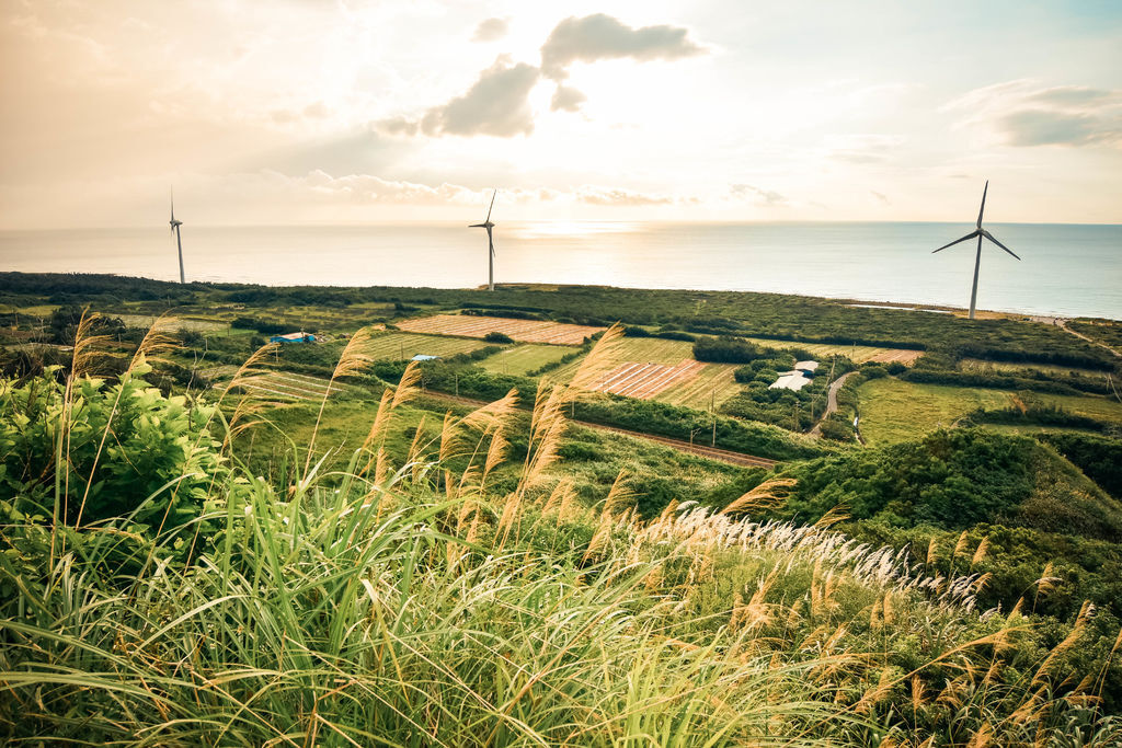 DSC_6942.jpg DSC_6942.jpg