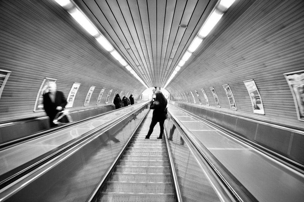 _DSC0564.jpg _DSC0564.jpg