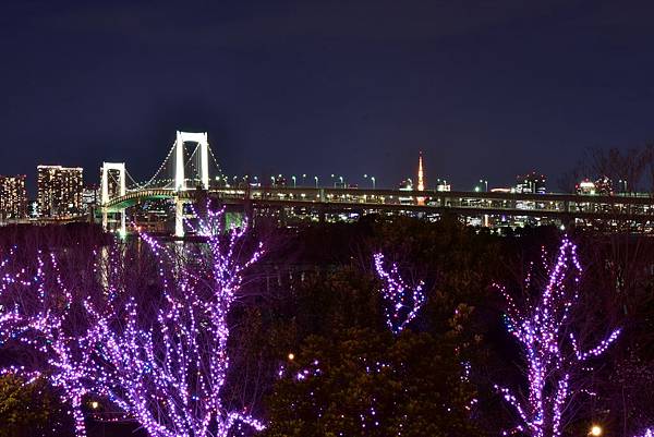 DSC_3539.jpg DSC_3539.jpg