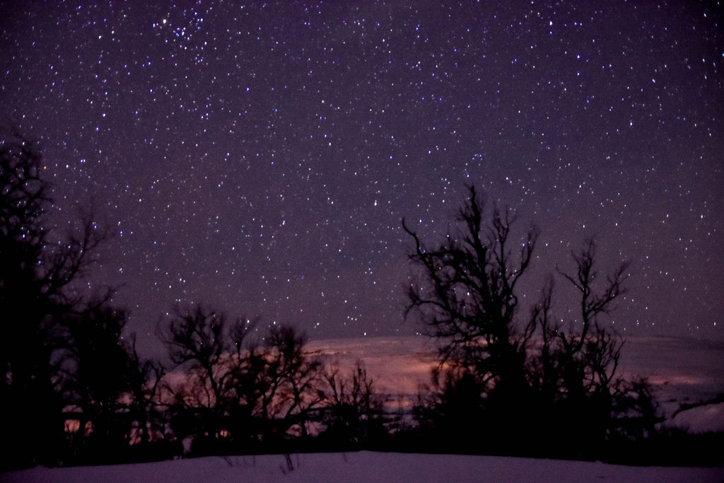 _DSC8435-2.jpg _DSC8435-2.jpg