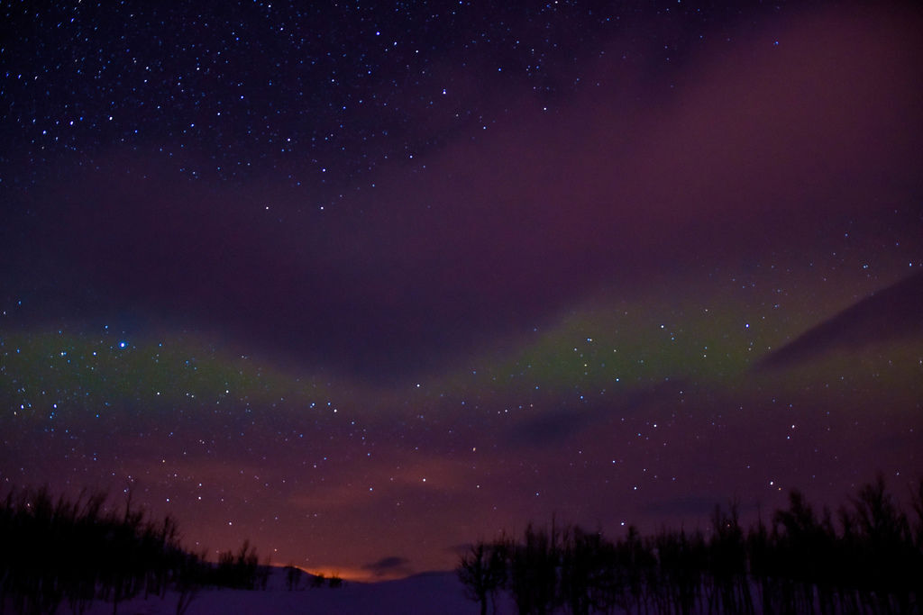 _DSC8434.jpg _DSC8434.jpg