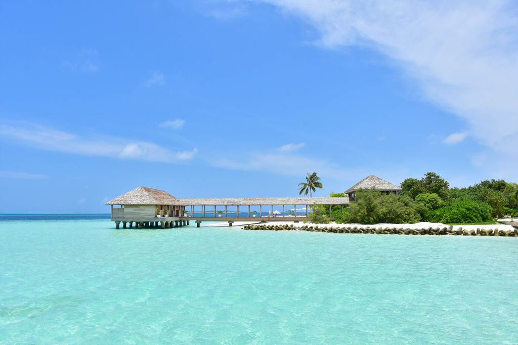DSC_4240.jpg