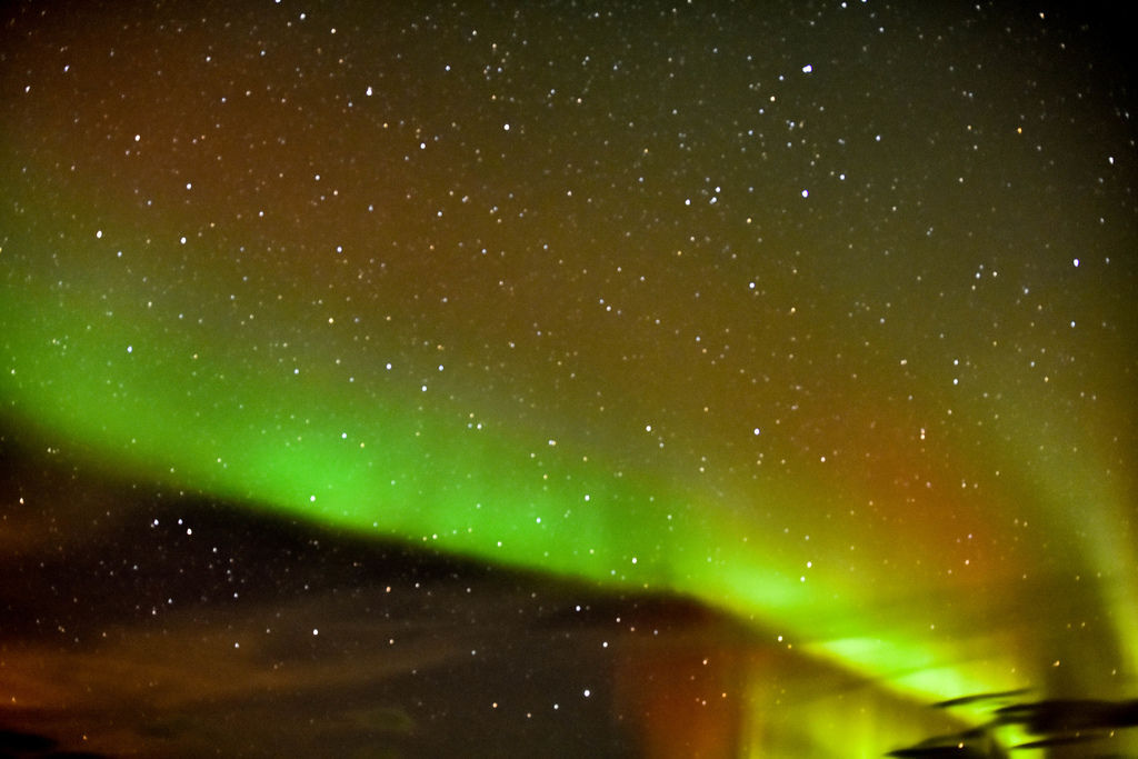 _DSC8485.jpg _DSC8485.jpg