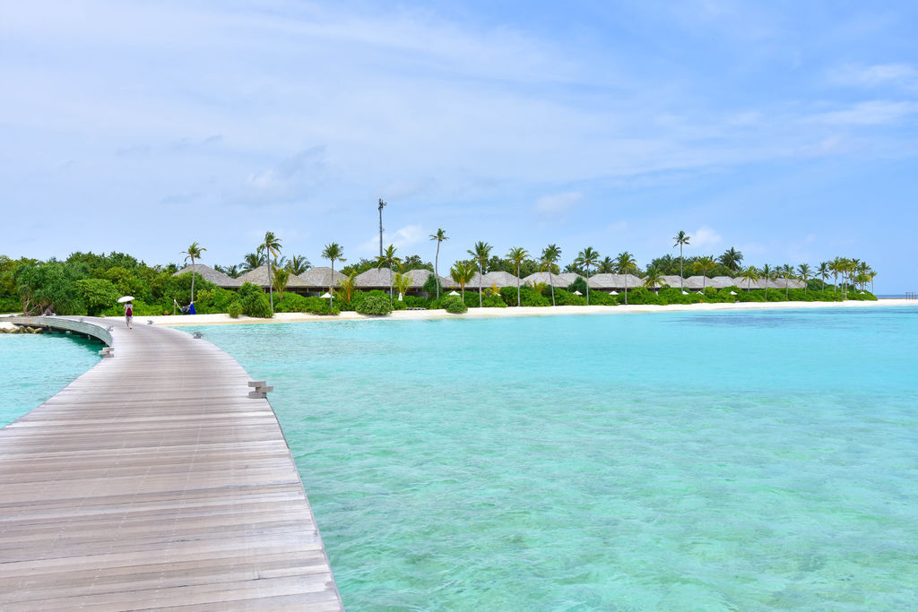 DSC_4304.jpg DSC_4304.jpg