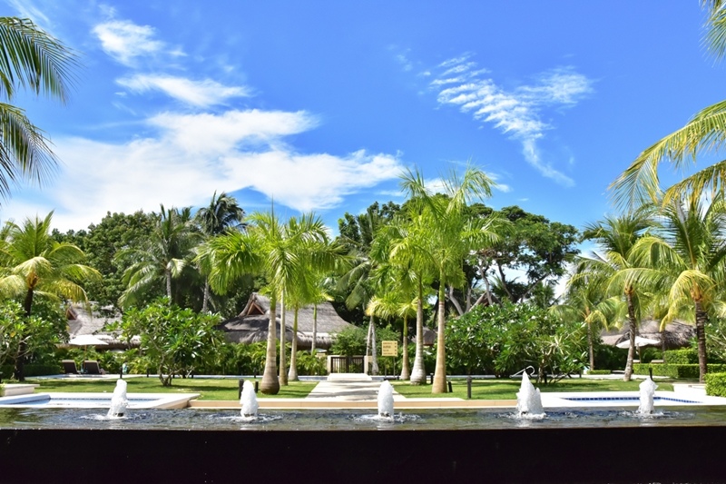 DSC_6076.JPG DSC_6076.JPG