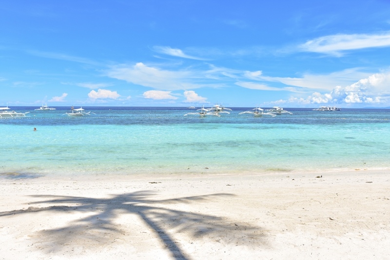 DSC_6306.JPG DSC_6306.JPG