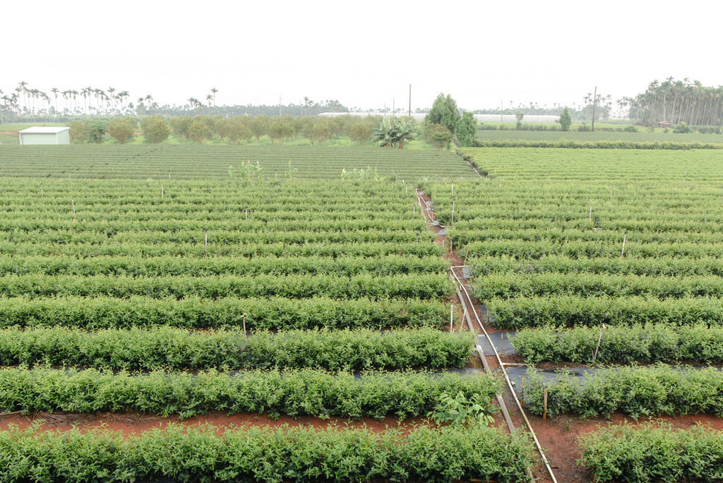 _DSC5424.JPG _DSC5424.JPG