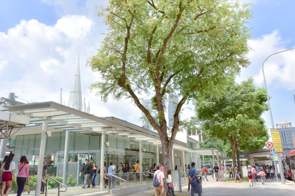 DSC_4521.JPG DSC_4521.JPG