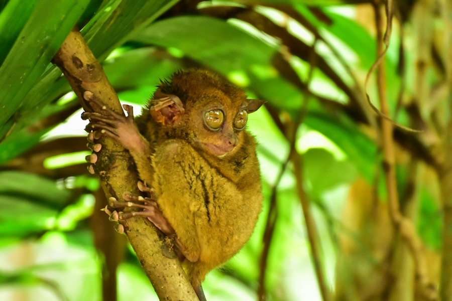 DSC_5983.jpg DSC_5983.jpg