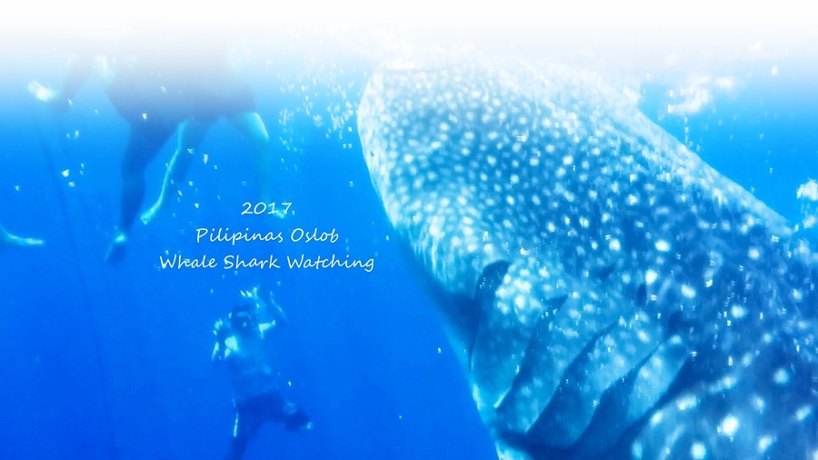 IMG_0717 0360-1.jpg IMG_0717 0360-1.jpg