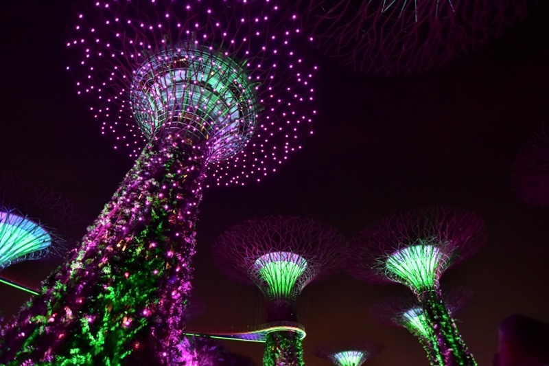 DSC_4956.JPG DSC_4956.JPG