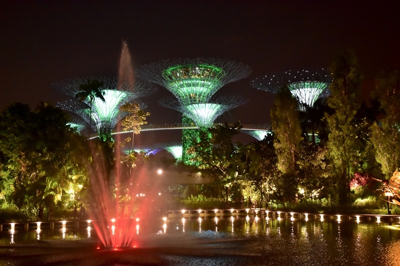 DSC_4905.JPG DSC_4905.JPG