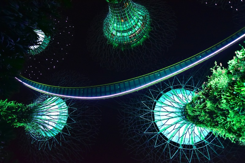 DSC_4933.JPG DSC_4933.JPG