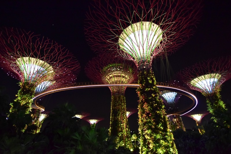 DSC_4989.JPG DSC_4989.JPG