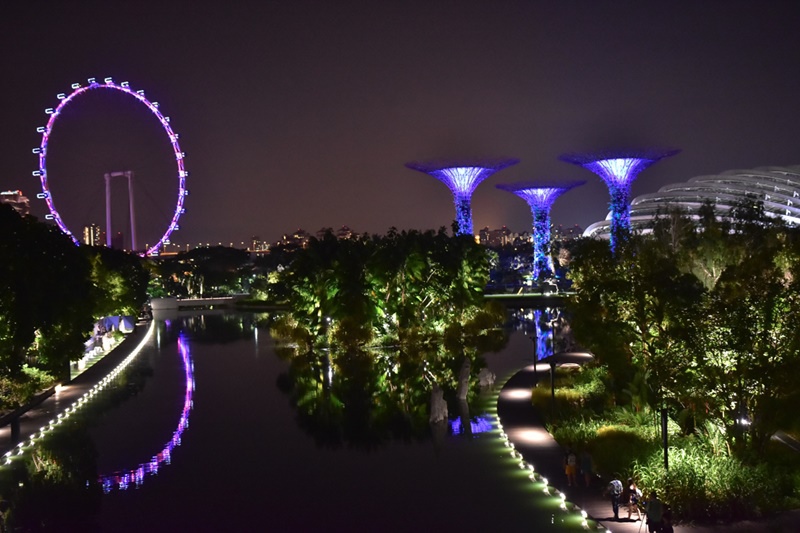 DSC_4914.JPG DSC_4914.JPG