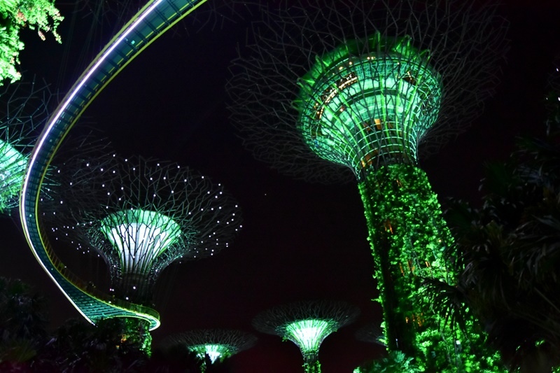 DSC_4936.JPG DSC_4936.JPG