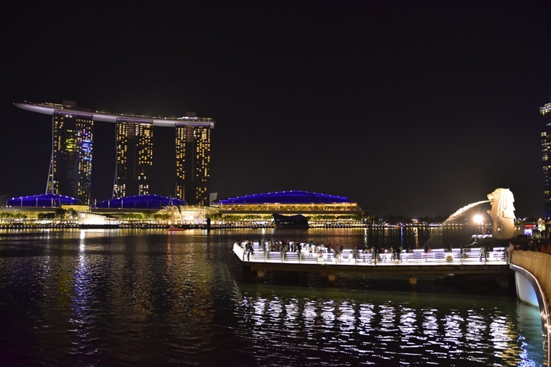 DSC_5555.JPG DSC_5555.JPG