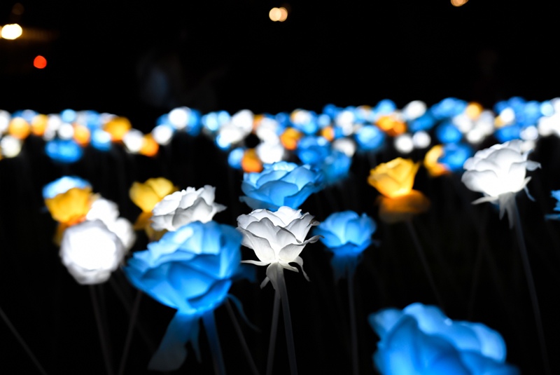 邂逅-淡水海關碼頭 美麗夏夜