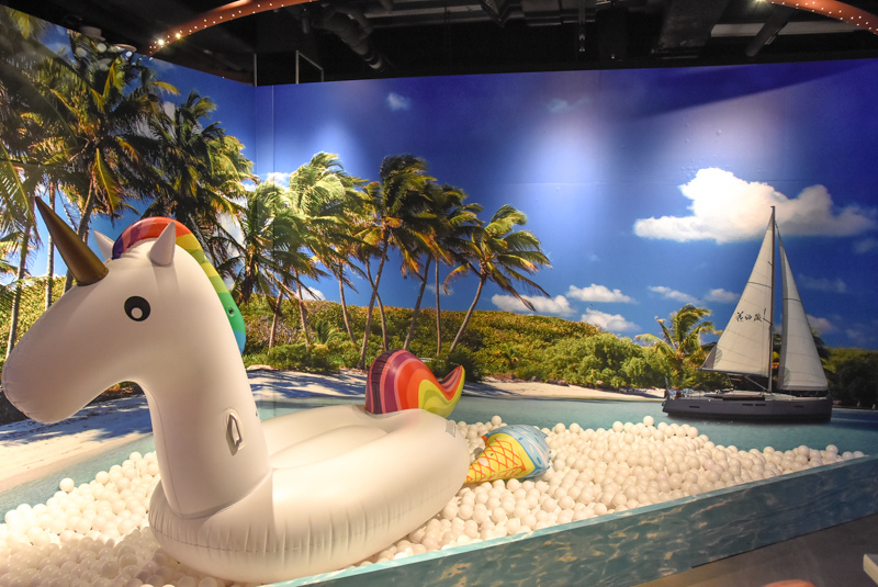 _DSC6133.JPG _DSC6133.JPG