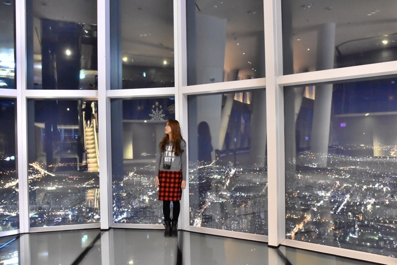 _DSC4493-2.JPG _DSC4493-2.JPG