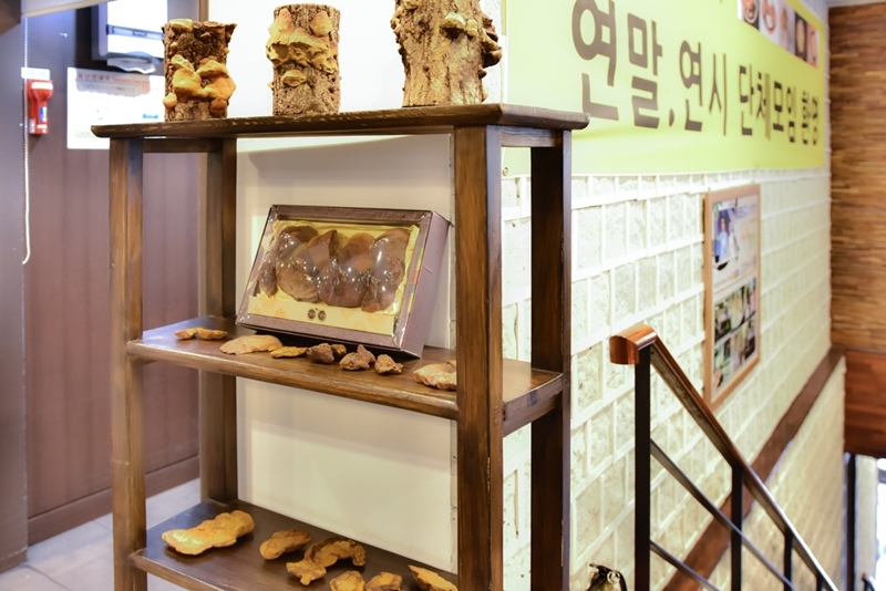 _DSC5162.JPG _DSC5162.JPG