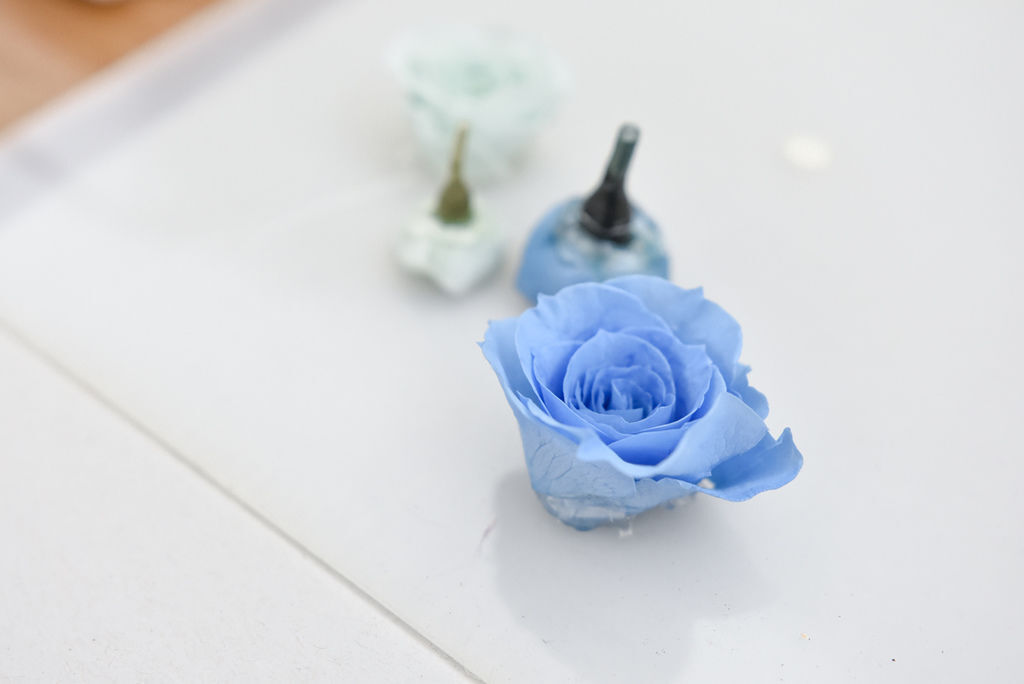 _DSC7069.JPG _DSC7069.JPG