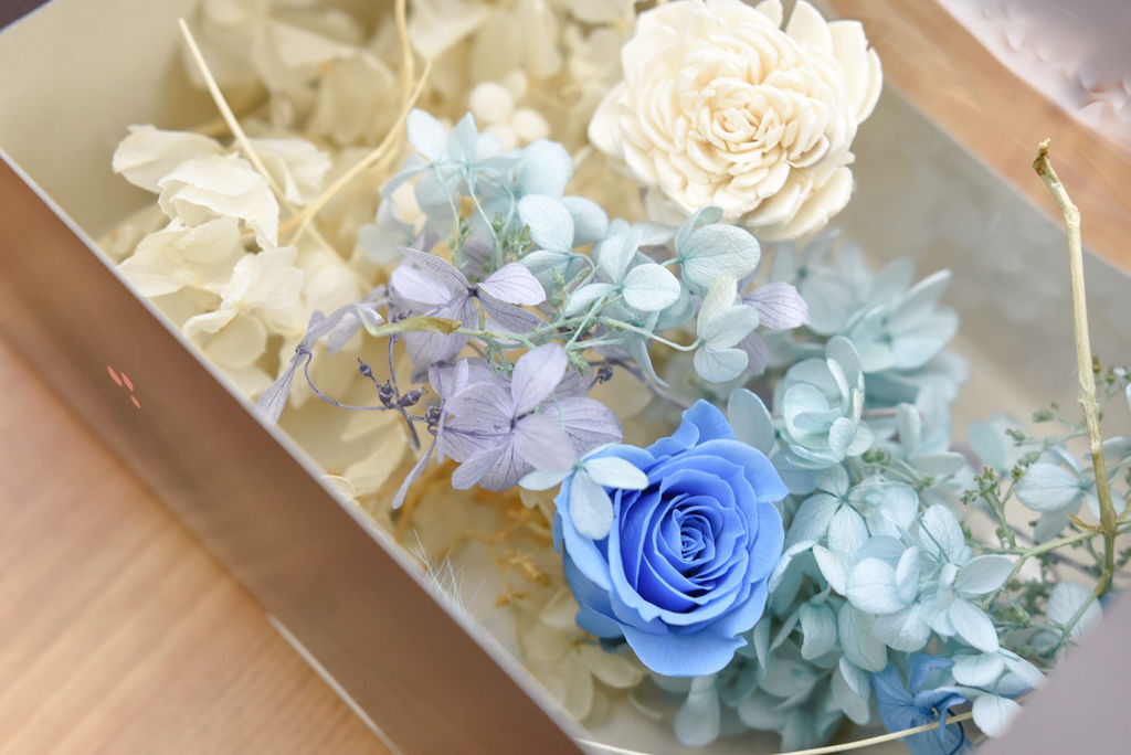 _DSC7052.JPG _DSC7052.JPG