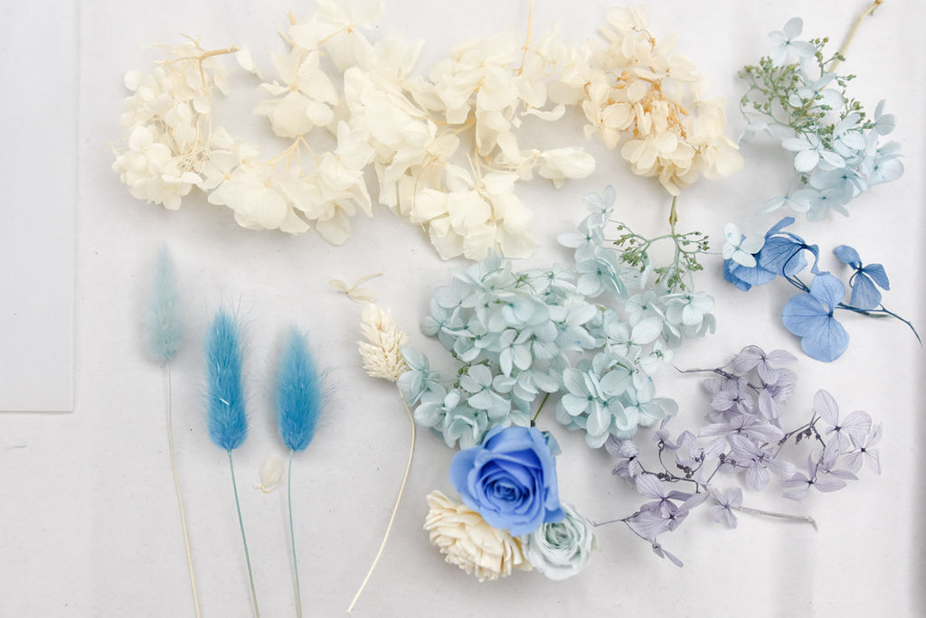 _DSC7059.JPG _DSC7059.JPG