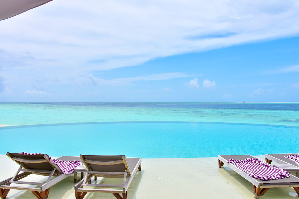 DSC_4311.JPG DSC_4311.JPG