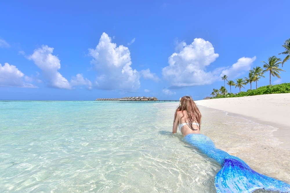 DSC_4943.JPG DSC_4943.JPG