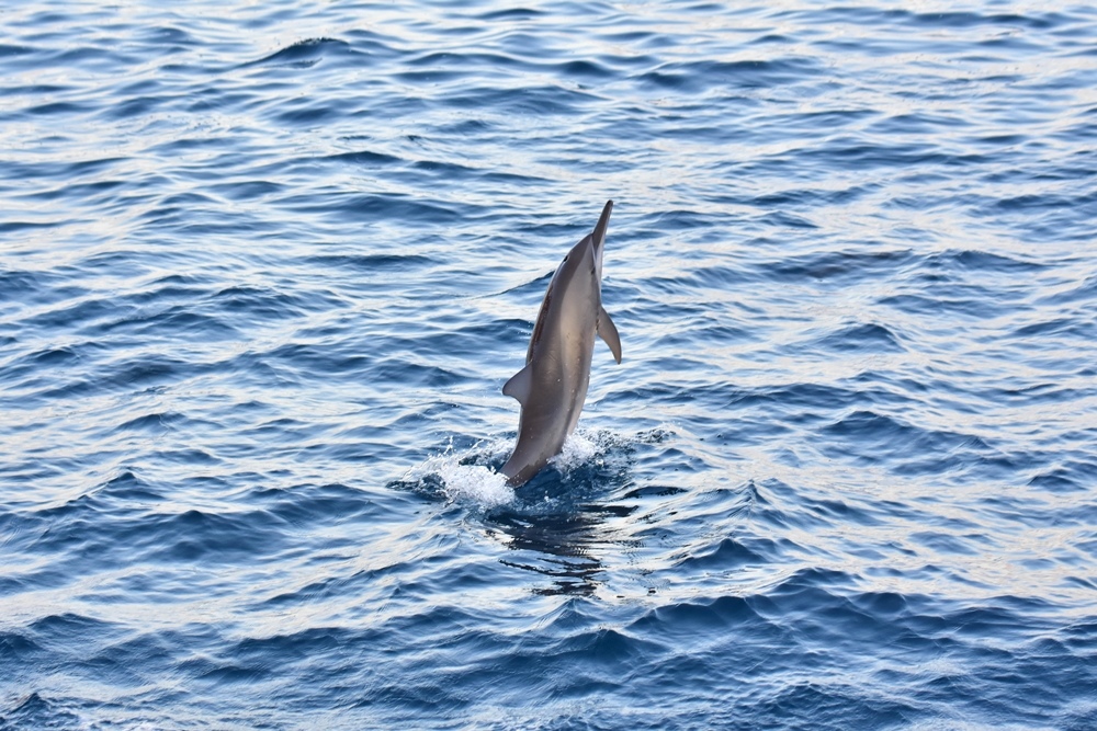 DSC_4567.jpg DSC_4567.jpg