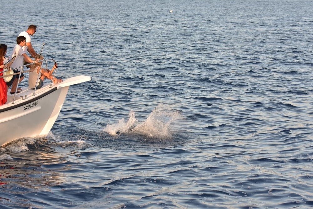 DSC_4601-2.JPG DSC_4601-2.JPG