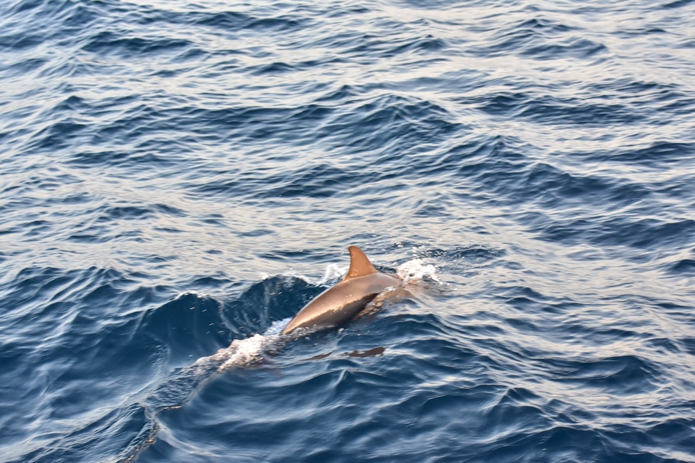 DSC_4628.jpg DSC_4628.jpg