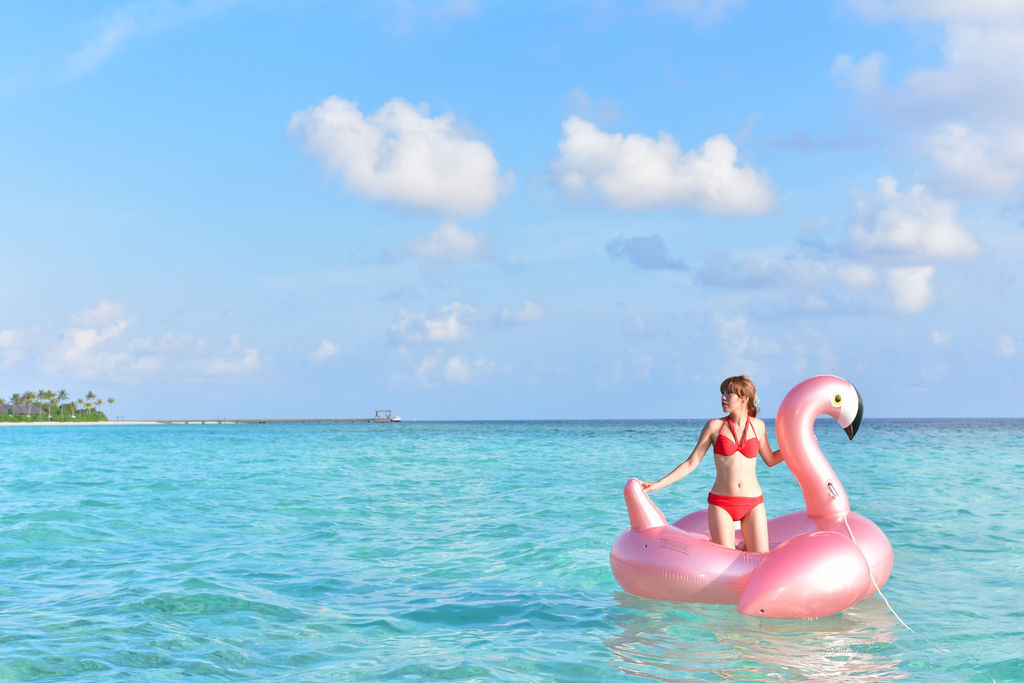 DSC_5433.JPG DSC_5433.JPG