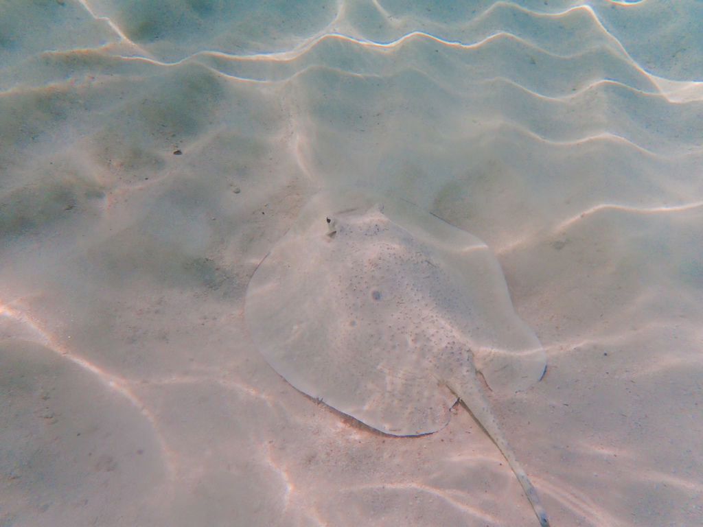 P9250042.JPG P9250042.JPG