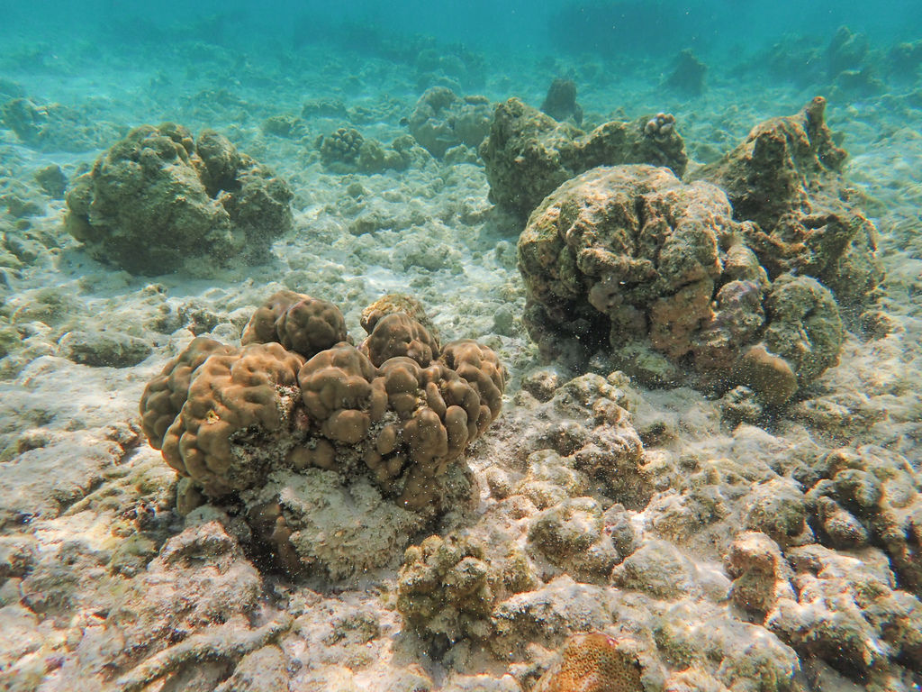 P9250056.JPG P9250056.JPG