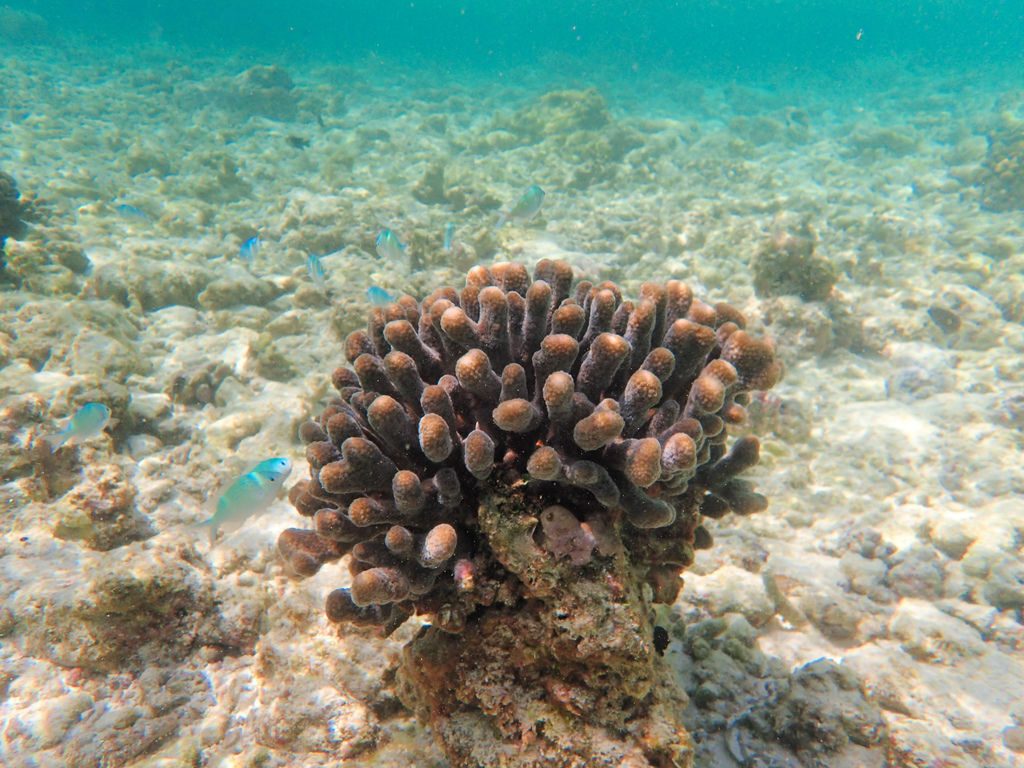 P9250049.JPG P9250049.JPG