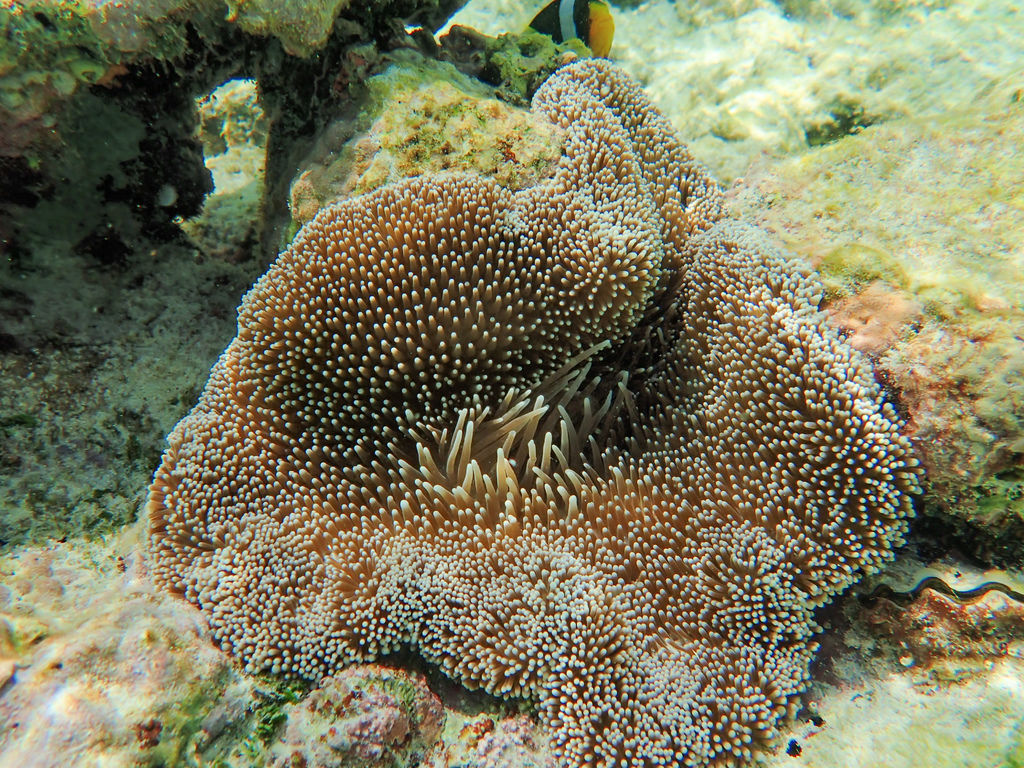 P9250055.JPG P9250055.JPG