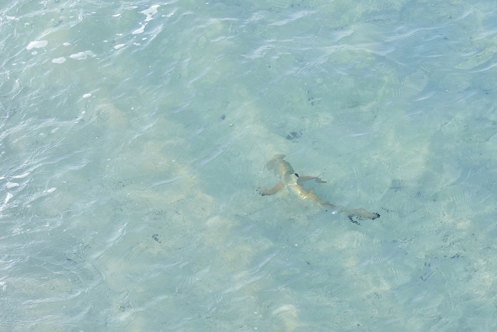 DSC_5788.jpg DSC_5788.jpg