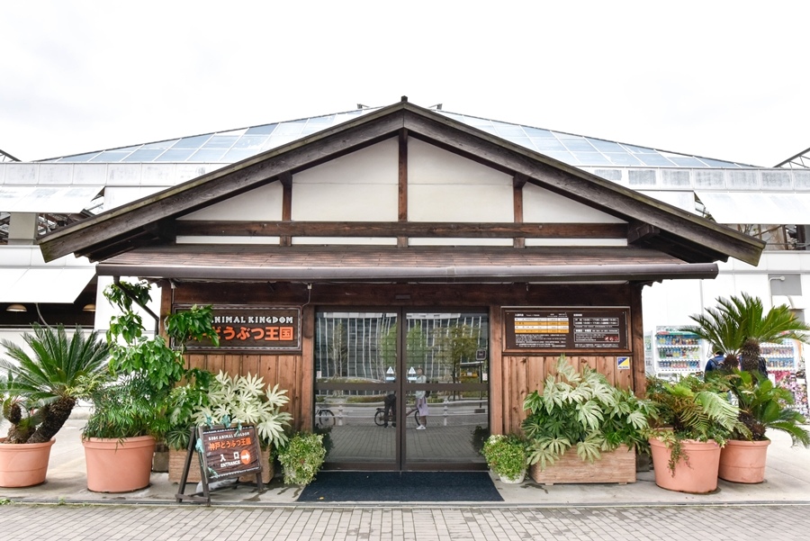 _DSC1308.jpg _DSC1308.jpg