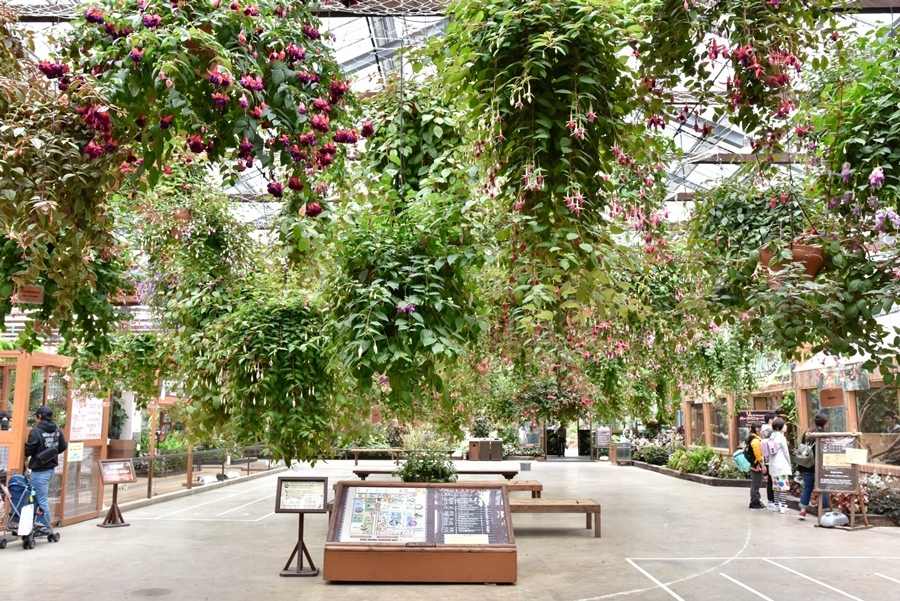 神戶動物王國 神戶動物王國