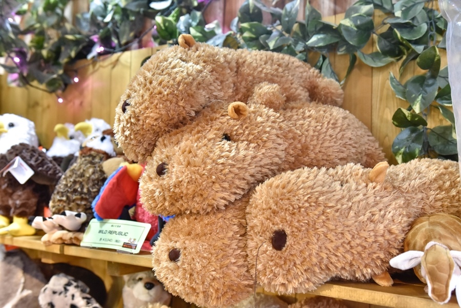 _DSC1405.jpg _DSC1405.jpg