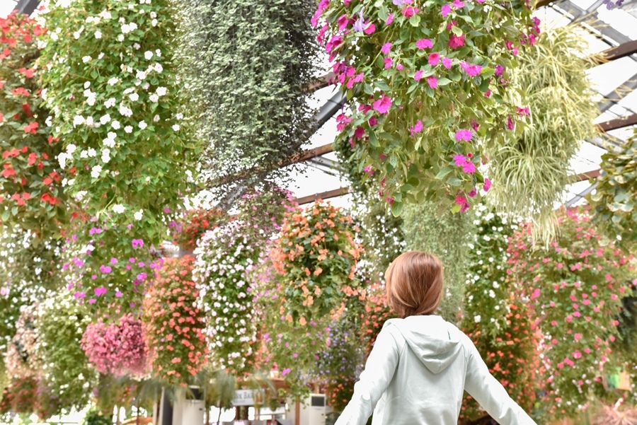 _DSC1388.jpg _DSC1388.jpg