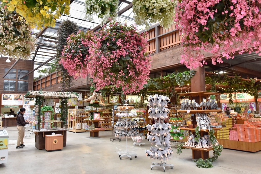 _DSC1402.jpg _DSC1402.jpg