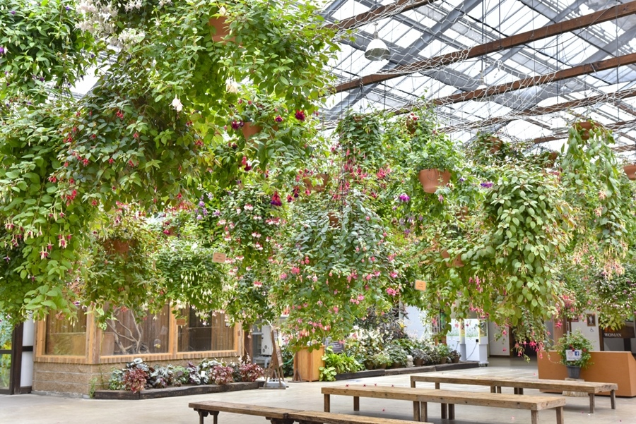 _DSC1317.JPG _DSC1317.JPG